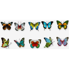 Colourful Butterfly Stickers 10's - Sold Assorted 