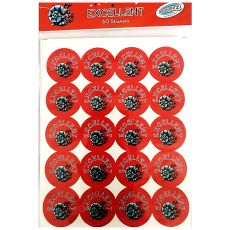 EXCELLENT (60 STICKERS)     